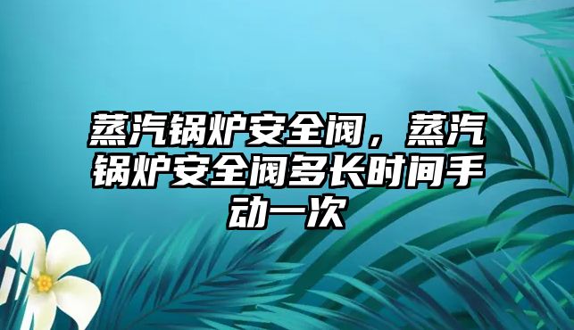 蒸汽鍋爐安全閥，蒸汽鍋爐安全閥多長時間手動一次