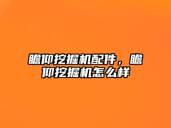 瞻仰挖掘機配件，瞻仰挖掘機怎么樣