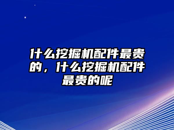 什么挖掘機(jī)配件最貴的，什么挖掘機(jī)配件最貴的呢