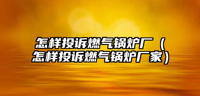 怎樣投訴燃氣鍋爐廠（怎樣投訴燃氣鍋爐廠家）