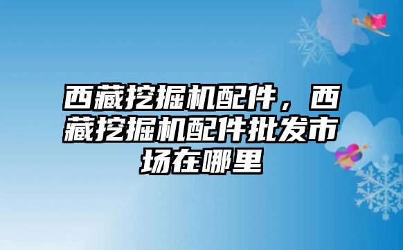 西藏挖掘機(jī)配件，西藏挖掘機(jī)配件批發(fā)市場(chǎng)在哪里