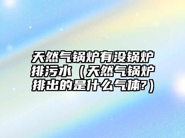 天然氣鍋爐有沒鍋爐排污水（天然氣鍋爐排出的是什么氣體?）