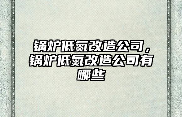 鍋爐低氮改造公司，鍋爐低氮改造公司有哪些