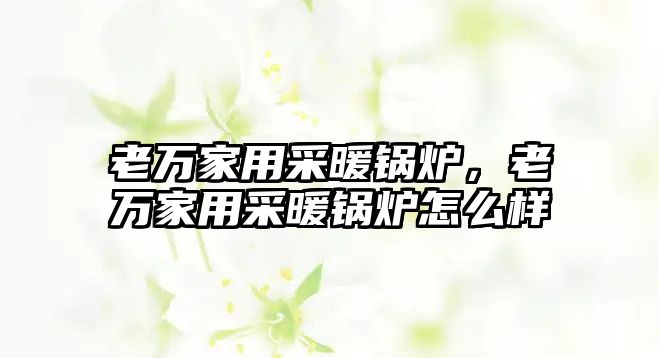 老萬家用采暖鍋爐，老萬家用采暖鍋爐怎么樣