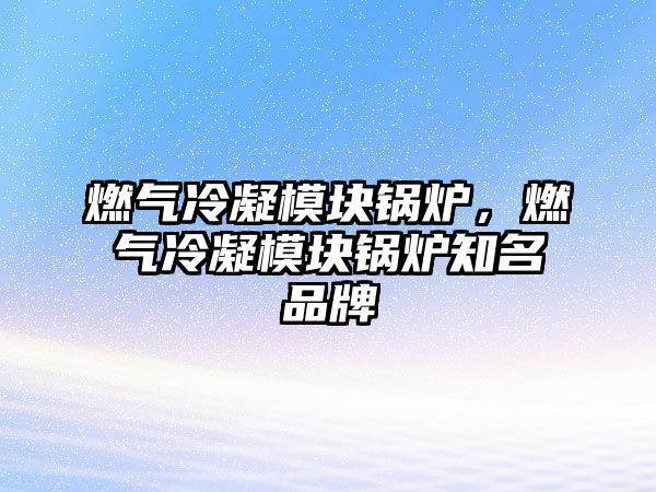 燃?xì)饫淠K鍋爐，燃?xì)饫淠K鍋爐知名品牌