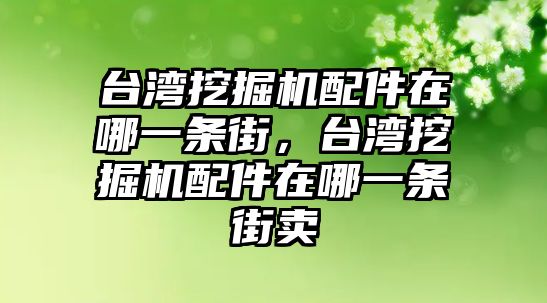 臺(tái)灣挖掘機(jī)配件在哪一條街，臺(tái)灣挖掘機(jī)配件在哪一條街賣(mài)