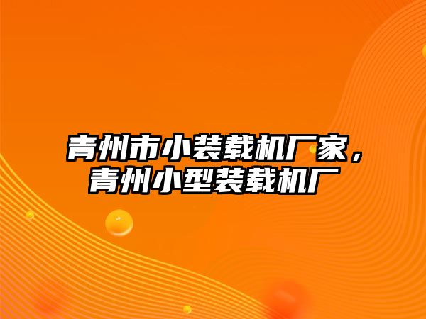 青州市小裝載機(jī)廠家，青州小型裝載機(jī)廠