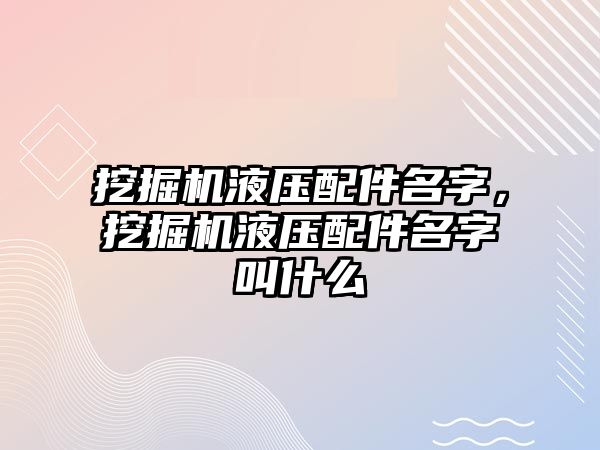 挖掘機(jī)液壓配件名字，挖掘機(jī)液壓配件名字叫什么