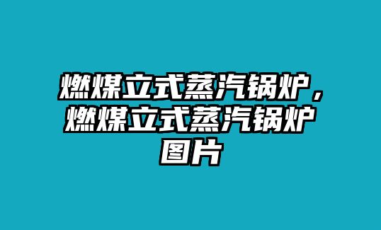 燃煤立式蒸汽鍋爐，燃煤立式蒸汽鍋爐圖片