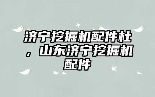 濟(jì)寧挖掘機(jī)配件杜，山東濟(jì)寧挖掘機(jī)配件