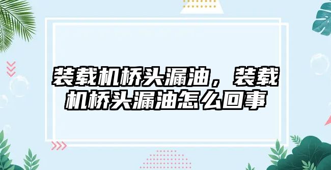 裝載機橋頭漏油，裝載機橋頭漏油怎么回事