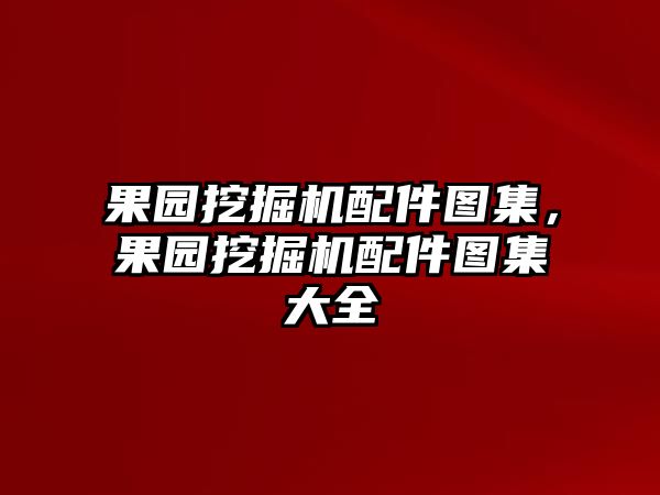 果園挖掘機(jī)配件圖集，果園挖掘機(jī)配件圖集大全