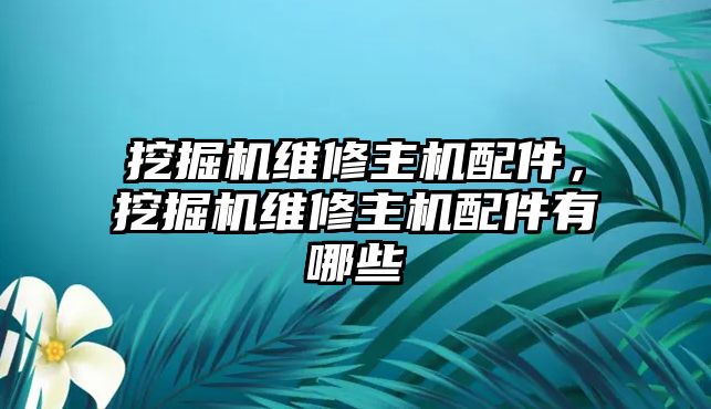 挖掘機(jī)維修主機(jī)配件，挖掘機(jī)維修主機(jī)配件有哪些