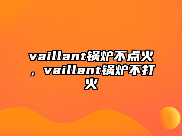 vaillant鍋爐不點火，vaillant鍋爐不打火