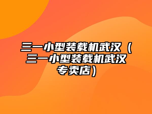 三一小型裝載機(jī)武漢（三一小型裝載機(jī)武漢專賣(mài)店）