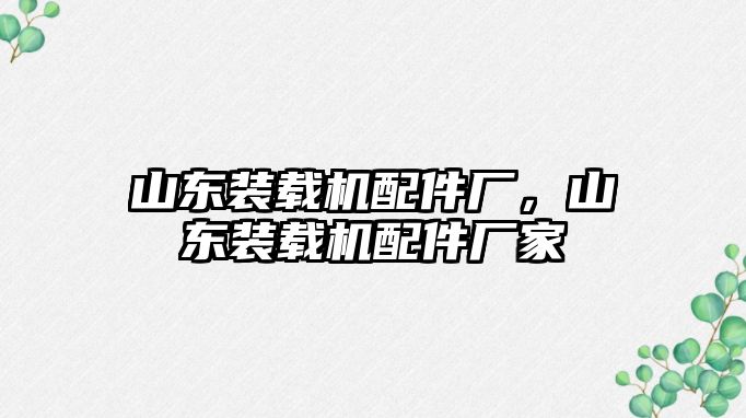 山東裝載機配件廠，山東裝載機配件廠家