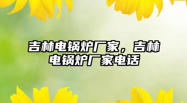 吉林電鍋爐廠家，吉林電鍋爐廠家電話