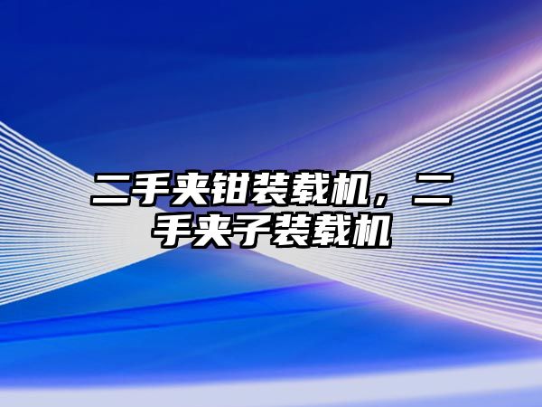 二手夾鉗裝載機(jī)，二手夾子裝載機(jī)