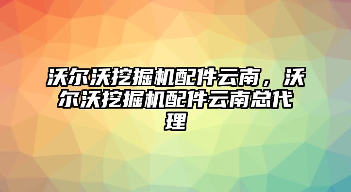 沃爾沃挖掘機配件云南，沃爾沃挖掘機配件云南總代理