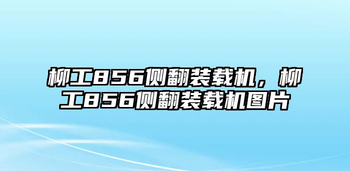 柳工856側(cè)翻裝載機，柳工856側(cè)翻裝載機圖片