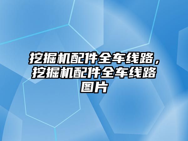 挖掘機配件全車線路，挖掘機配件全車線路圖片