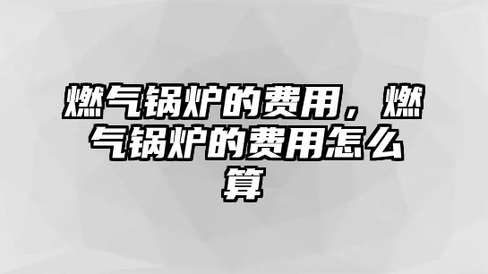 燃?xì)忮仩t的費(fèi)用，燃?xì)忮仩t的費(fèi)用怎么算