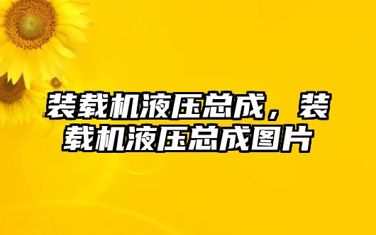 裝載機液壓總成，裝載機液壓總成圖片