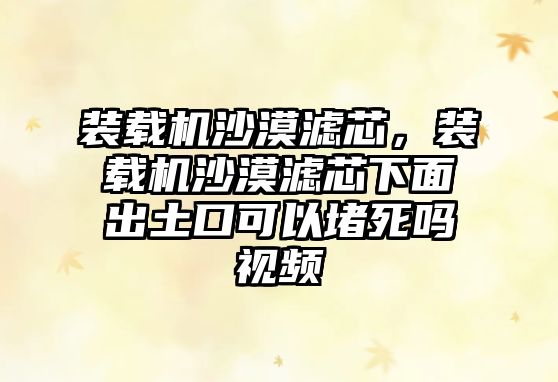 裝載機(jī)沙漠濾芯，裝載機(jī)沙漠濾芯下面出土口可以堵死嗎視頻