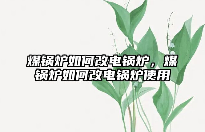 煤鍋爐如何改電鍋爐，煤鍋爐如何改電鍋爐使用