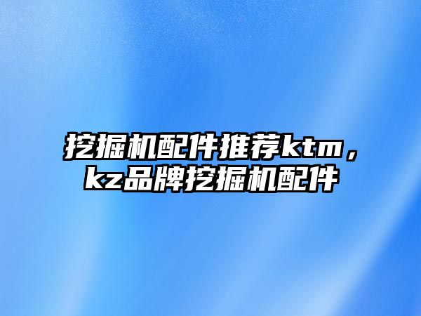 挖掘機配件推薦ktm，kz品牌挖掘機配件