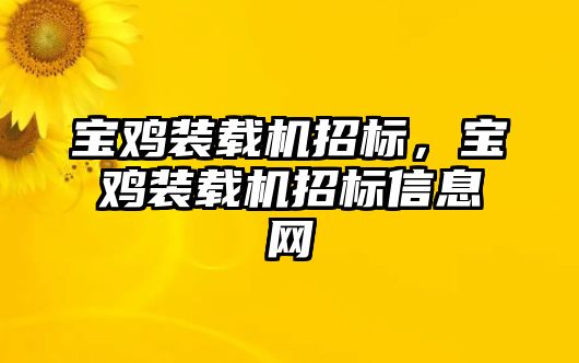 寶雞裝載機(jī)招標(biāo)，寶雞裝載機(jī)招標(biāo)信息網(wǎng)