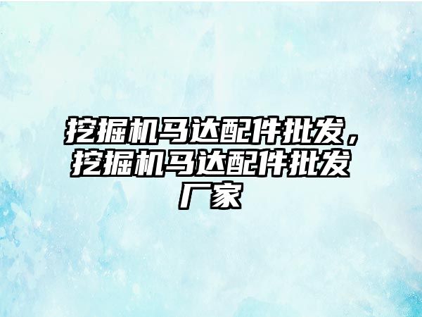 挖掘機馬達配件批發(fā)，挖掘機馬達配件批發(fā)廠家