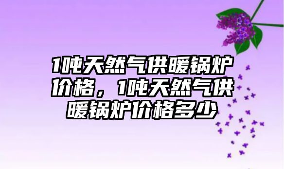 1噸天然氣供暖鍋爐價格，1噸天然氣供暖鍋爐價格多少