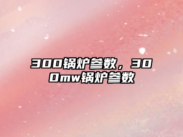 300鍋爐參數(shù)，300mw鍋爐參數(shù)