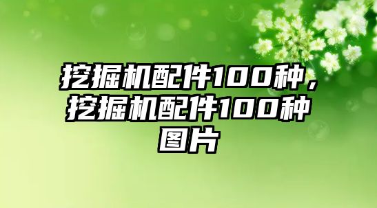 挖掘機(jī)配件100種，挖掘機(jī)配件100種圖片