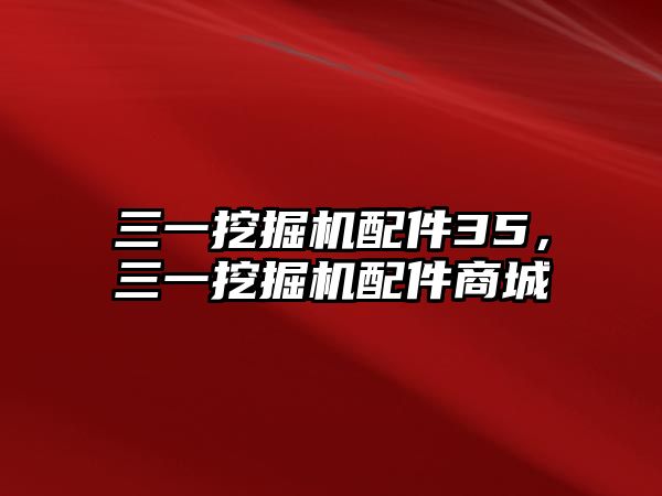 三一挖掘機(jī)配件35，三一挖掘機(jī)配件商城