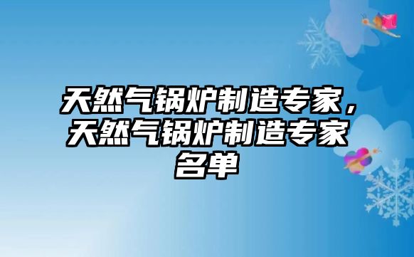 天然氣鍋爐制造專家，天然氣鍋爐制造專家名單