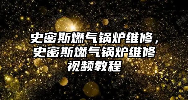 史密斯燃?xì)忮仩t維修，史密斯燃?xì)忮仩t維修視頻教程