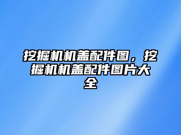 挖掘機機蓋配件圖，挖掘機機蓋配件圖片大全