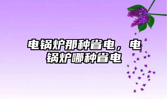 電鍋爐那種省電，電鍋爐哪種省電