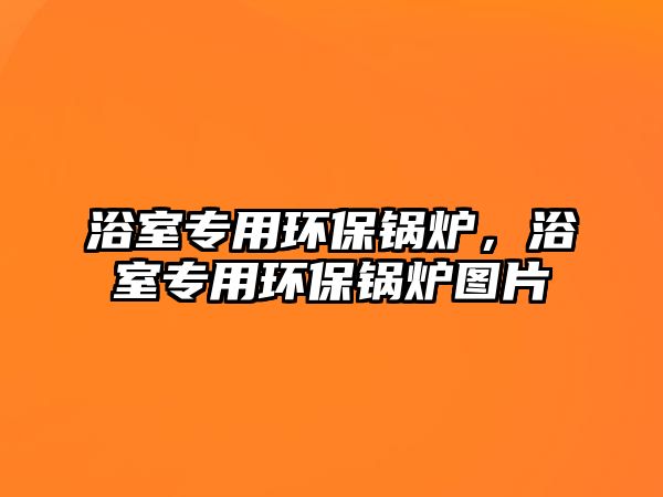 浴室專用環(huán)保鍋爐，浴室專用環(huán)保鍋爐圖片