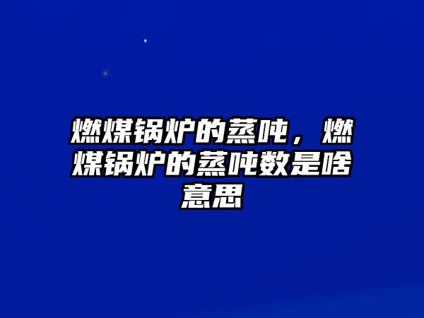 燃煤鍋爐的蒸噸，燃煤鍋爐的蒸噸數(shù)是啥意思