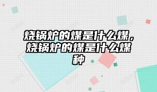 燒鍋爐的煤是什么煤，燒鍋爐的煤是什么煤種