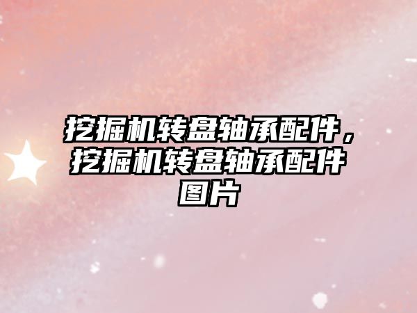 挖掘機轉(zhuǎn)盤軸承配件，挖掘機轉(zhuǎn)盤軸承配件圖片