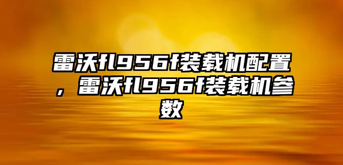 雷沃fl956f裝載機(jī)配置，雷沃fl956f裝載機(jī)參數(shù)