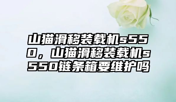 山貓滑移裝載機s550，山貓滑移裝載機s550鏈條箱要維護嗎