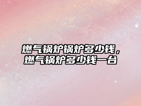 燃?xì)忮仩t鍋爐多少錢，燃?xì)忮仩t多少錢一臺(tái)