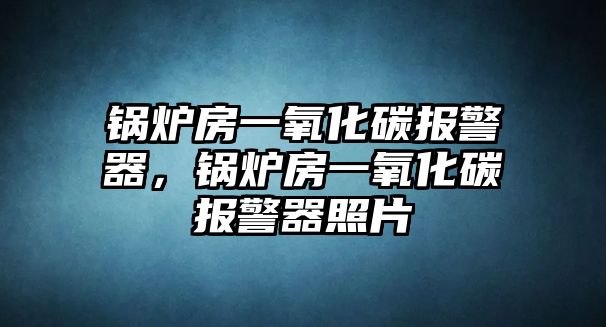 鍋爐房一氧化碳報(bào)警器，鍋爐房一氧化碳報(bào)警器照片