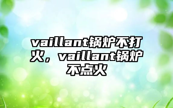 vaillant鍋爐不打火，vaillant鍋爐不點(diǎn)火