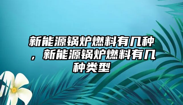 新能源鍋爐燃料有幾種，新能源鍋爐燃料有幾種類型